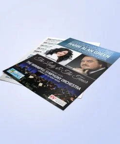 Alternative view of Flyers